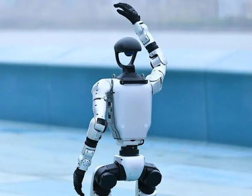 人形機器人產業迎來爆發期，宇樹科技啟動IPO引領行業新浪潮